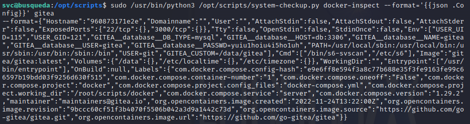 gitea-docker-container-info